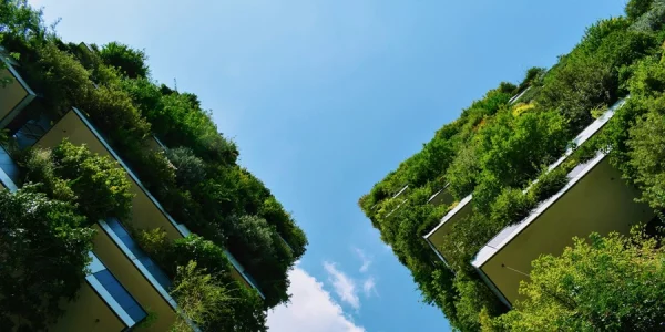 5 MBA Stories about Studying Sustainability