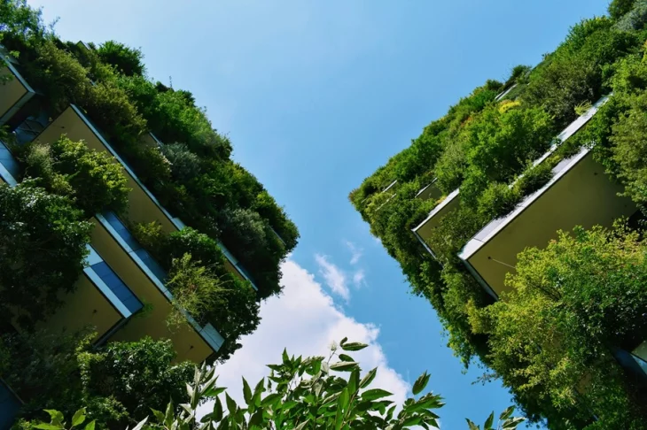 5 MBA Stories about Studying Sustainability