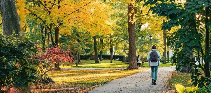 US News Best Business Schools Ranking: American Programs and Academic Excellence