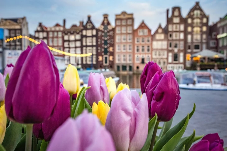 Why the Netherlands Is a Rising Destination for International MBAs