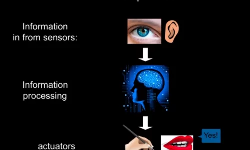 Consciousness is a mathematical pattern: Max Tegmark at TEDxCambridge 2014